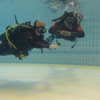 provdyk-med-atlantis-dive-college-i-rosenlundsbadet-dykcert-dykcertifikat-padi-1