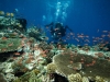 filippinerna_dykresa_atlantis_dive_college-7