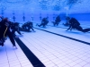 grundkurs-i-dykning-dykcert-med-joakim-pettersson-med-atlantis-dive-college 6