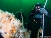 vrakdykning_atlantis_dive_college_vrakdykningskurs_padi_7