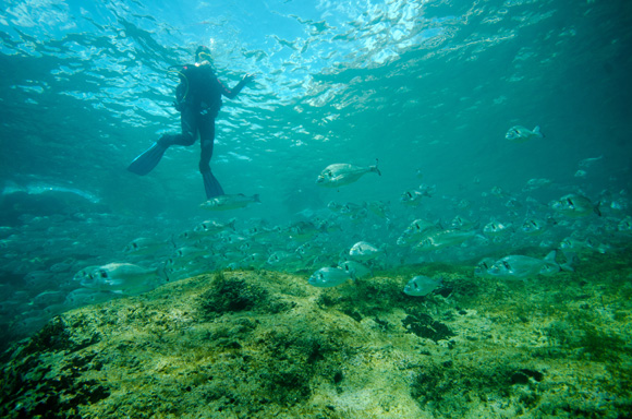 dykresa_till_malta-_med_atlantis_dive_college_2012_vrakdykning-5