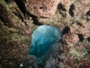 dykresa_till_malta-_med_atlantis_dive_college_2012_vrakdykning-12