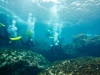 dykresa_till_malta-_med_atlantis_dive_college_2012_vrakdykning-7