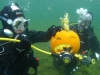 pumpadyk_atlantis_dive_college_pumpkin_dive_dykning_dykare_undervattensbilder-33