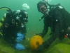 pumpadyk_atlantis_dive_college_pumpkin_dive_dykning_dykare_undervattensbilder-54