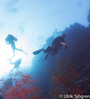 dykning-i-red-sea-med-atlantis-dive-college-st-johns-reef-5