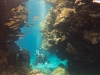 dykning-i-red-sea-med-atlantis-dive-college-st-johns-reef-21