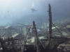 dykning-i-red-sea-med-atlantis-dive-college-st-johns-reef-4