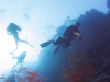 dykning-i-red-sea-med-atlantis-dive-college-st-johns-reef-5