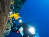 dykning-i-red-sea-med-atlantis-dive-college-st-johns-reef-8