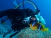 reasea_diving_brotherisland_atlantisdivecollege_atlantis_dive_college_padi_-4